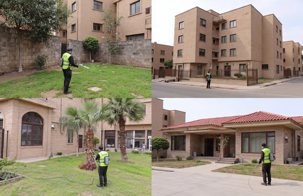 أرخص شركة مكافحة حشرات في حلمية الزيتون