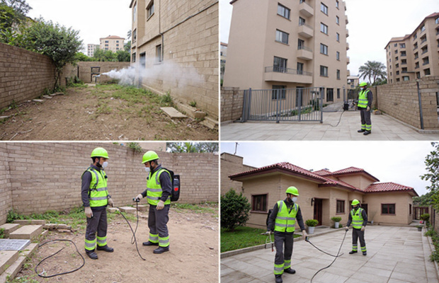 شركة بخ حشرات في حلمية الزيتون