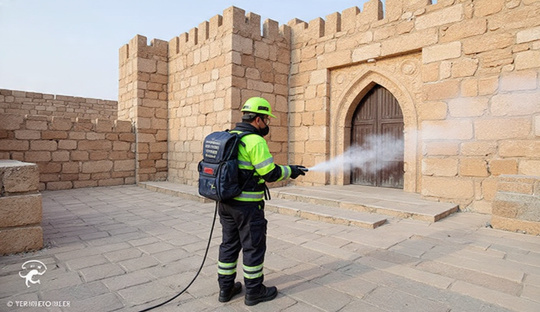 أرخص شركة مكافحة حشرات في المقطم