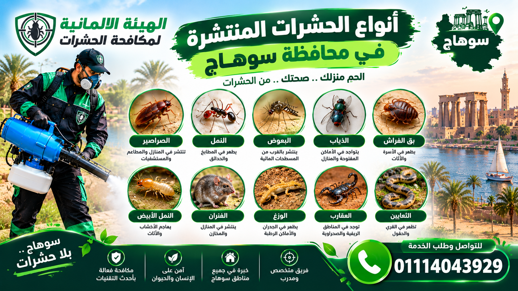 أنواع الحشرات المنتشرة في محافظة سوهاج