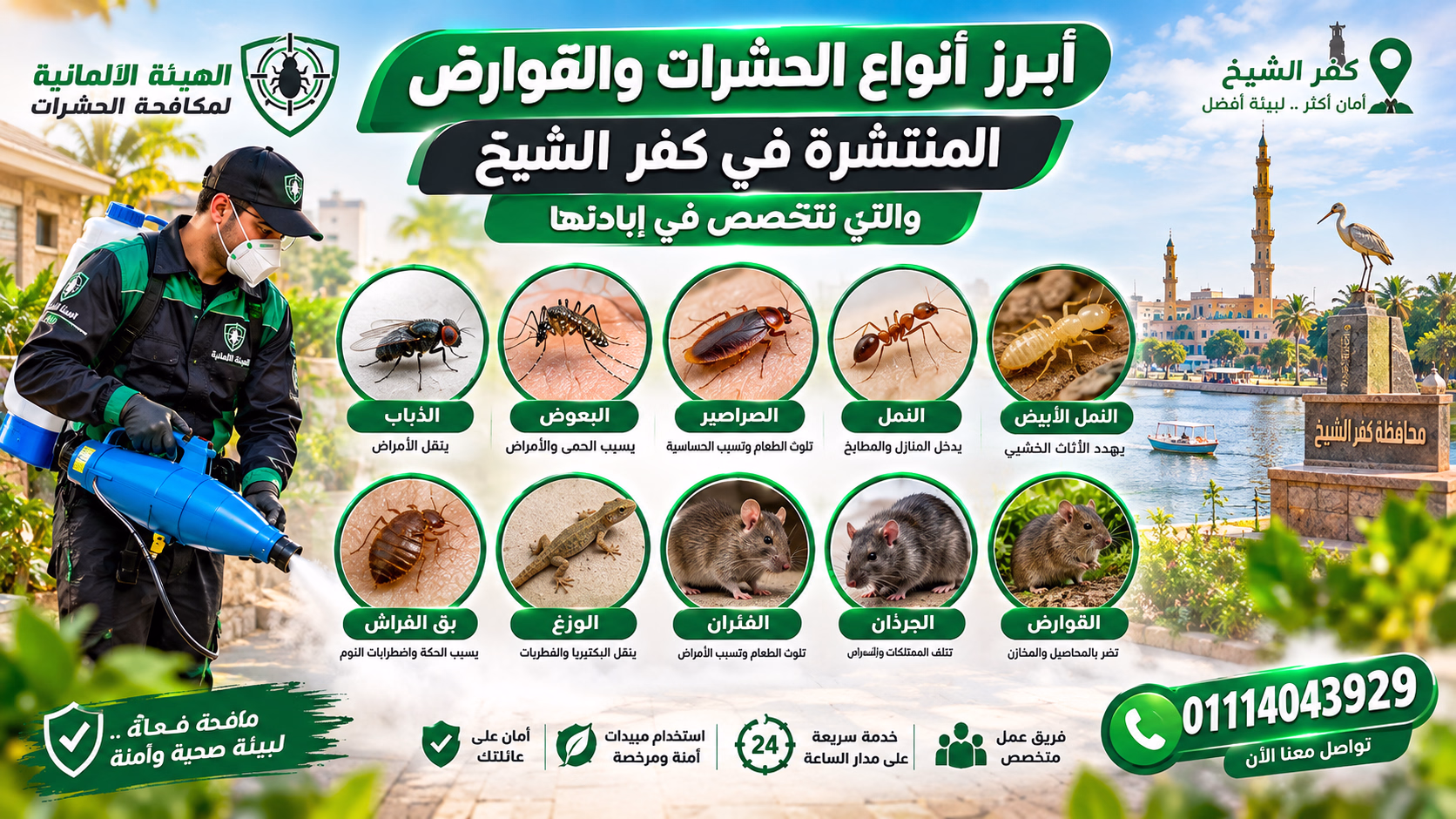 أنواع الحشرات المنتشرة في كفر الشيخ