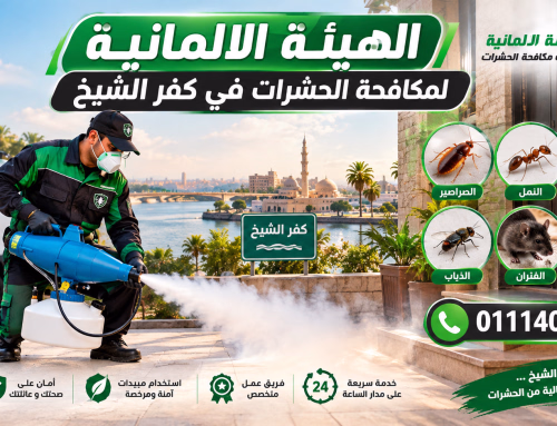أفضل شركة مكافحة حشرات في كفر الشيخ 01114043929 خصم 50%