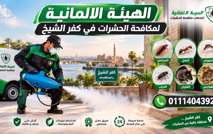 شركة مكافحة حشرات في كفر الشيخ